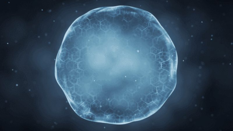 生物科技研发人员：他们的职责与挑战**