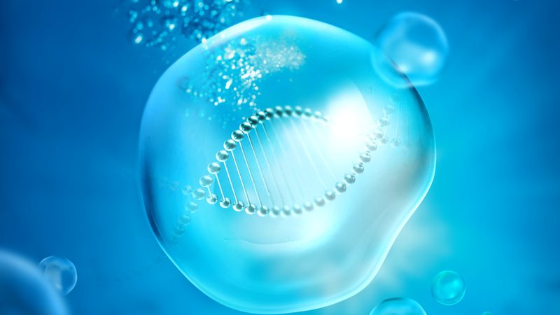 生物科技研发人员学历要求揭秘：高学历背后的考量因素