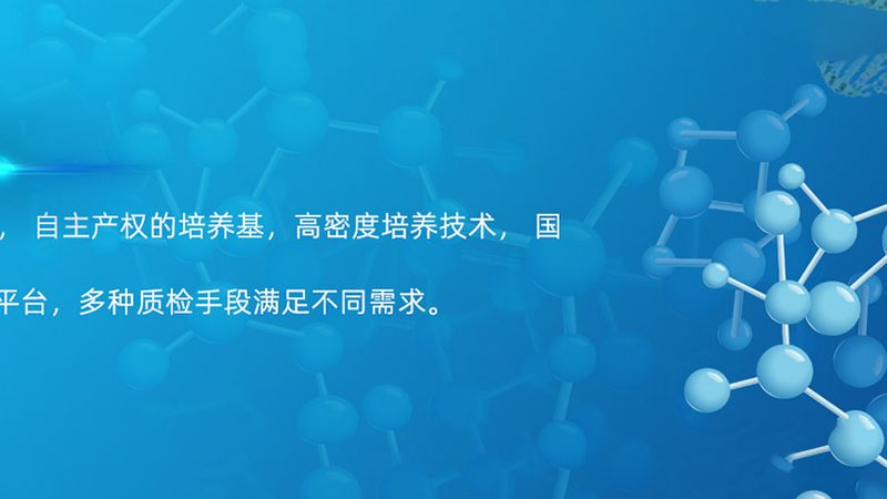 生物药CDMO公司：揭秘其优缺点与行业应用
