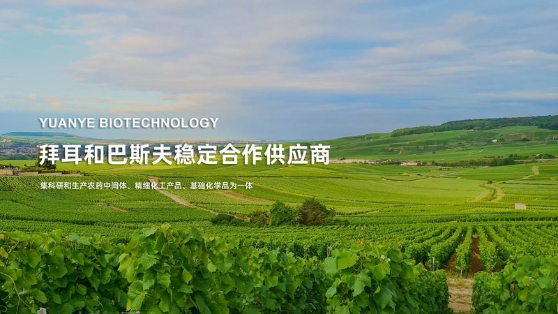 参数解析：关键指标识别