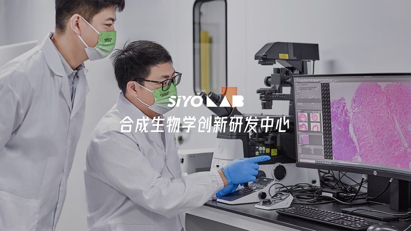 PCR试剂盒型号解析：揭秘其差异与选型逻辑
