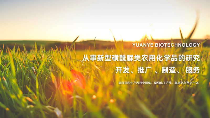 提升原代细胞培养成功率的关键技巧**