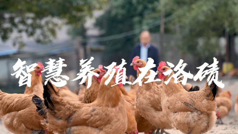 基因检测采样包：揭秘其核心组成与作用