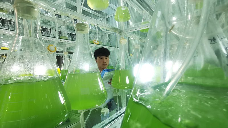 酶洗涤剂：生物制药中的“清洁利器”**